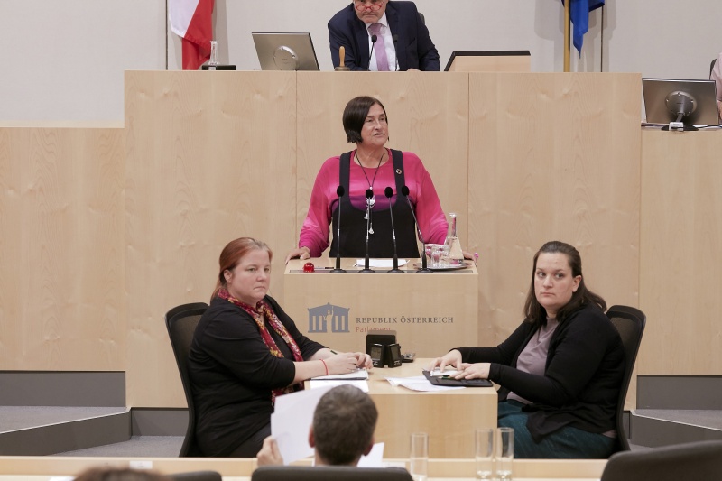 Am Rednerpult Nationalratsabgeordnete Petra Bayr (S)