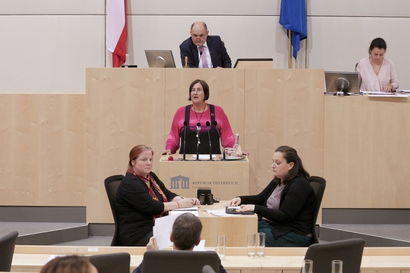 Am Rednerpult Nationalratsabgeordnete Petra Bayr (S)