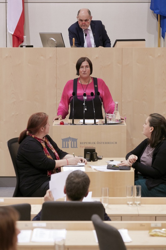Am Rednerpult Nationalratsabgeordnete Petra Bayr (S)