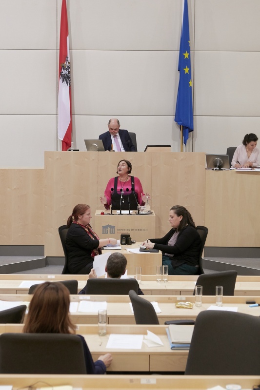 Am Rednerpult Nationalratsabgeordnete Petra Bayr (S)