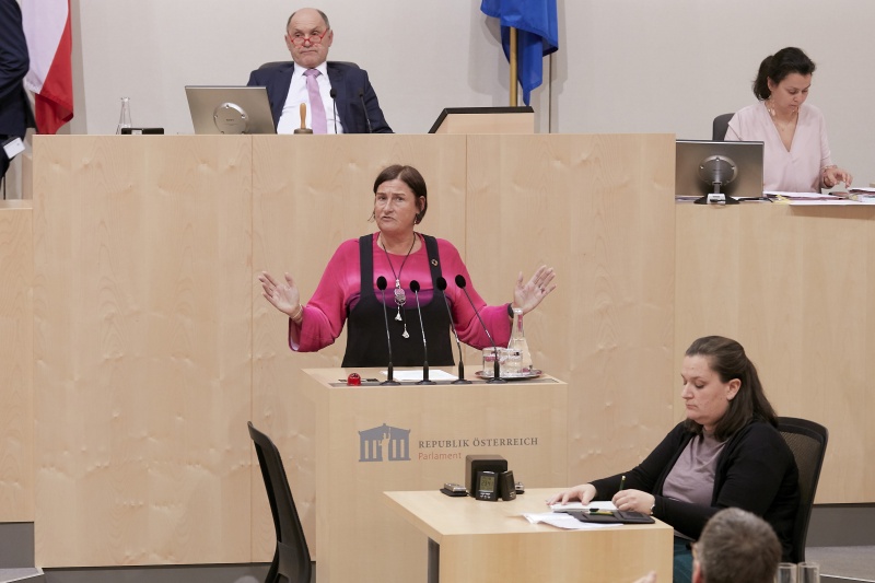 Am Rednerpult Nationalratsabgeordnete Petra Bayr (S)