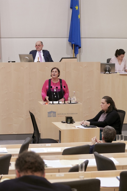Am Rednerpult Nationalratsabgeordnete Petra Bayr (S)