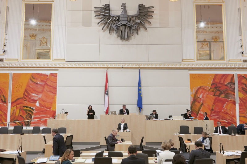 Am Rednerpult Nationalratsabgeordnete Verena Nussbaum (S)