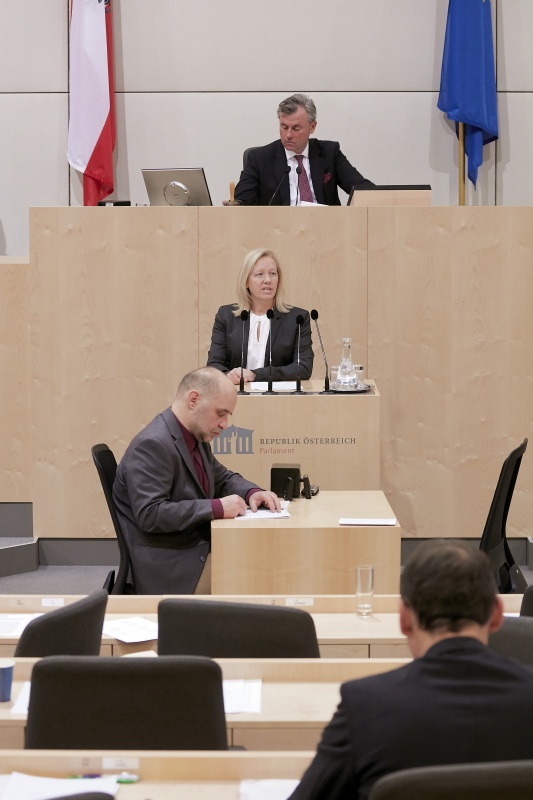 Am Rednerpult Nationalratsabgeordnete Verena Nussbaum (S)