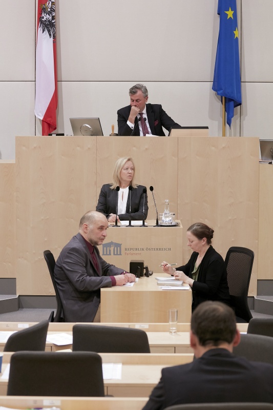 Am Rednerpult Nationalratsabgeordnete Verena Nussbaum (S)