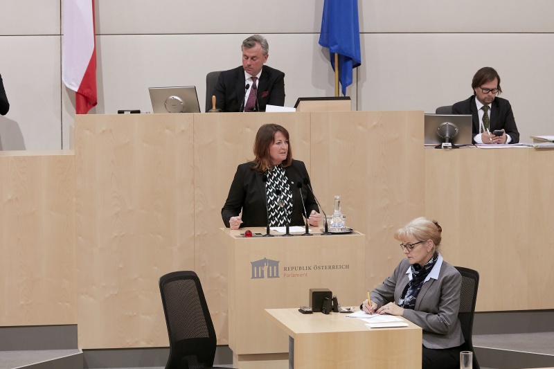 Am Rednerpult Nationalratsabgeordnete Petra Wimmer (S)