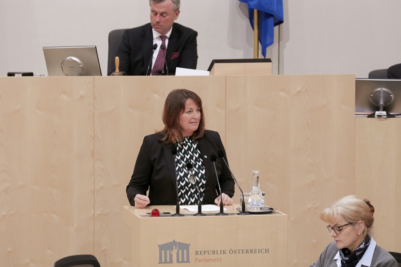 Am Rednerpult Nationalratsabgeordnete Petra Wimmer (S)