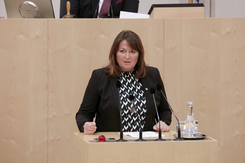 Am Rednerpult Nationalratsabgeordnete Petra Wimmer (S)