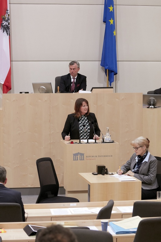 Am Rednerpult Nationalratsabgeordnete Petra Wimmer (S)