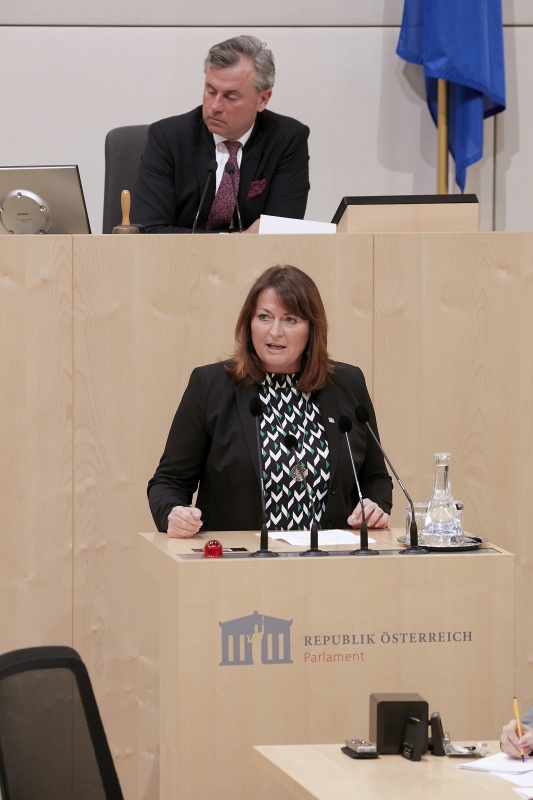Am Rednerpult Nationalratsabgeordnete Petra Wimmer (S)