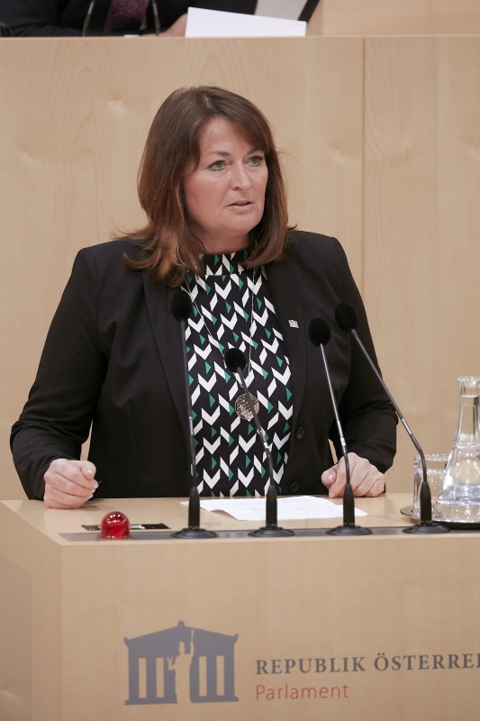 Am Rednerpult Nationalratsabgeordnete Petra Wimmer (S)
