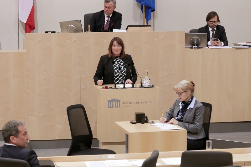 Am Rednerpult Nationalratsabgeordnete Petra Wimmer (S)