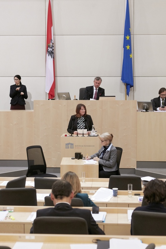 Am Rednerpult Nationalratsabgeordnete Petra Wimmer (S)