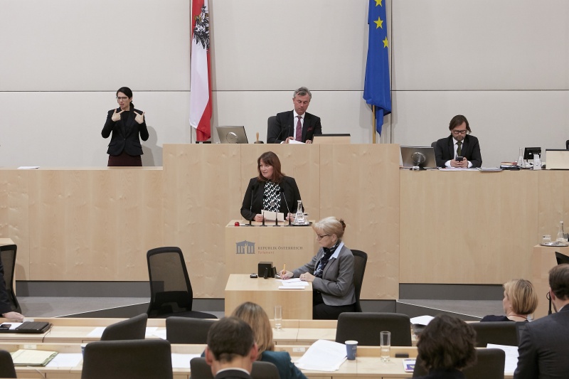 Am Rednerpult Nationalratsabgeordnete Petra Wimmer (S)