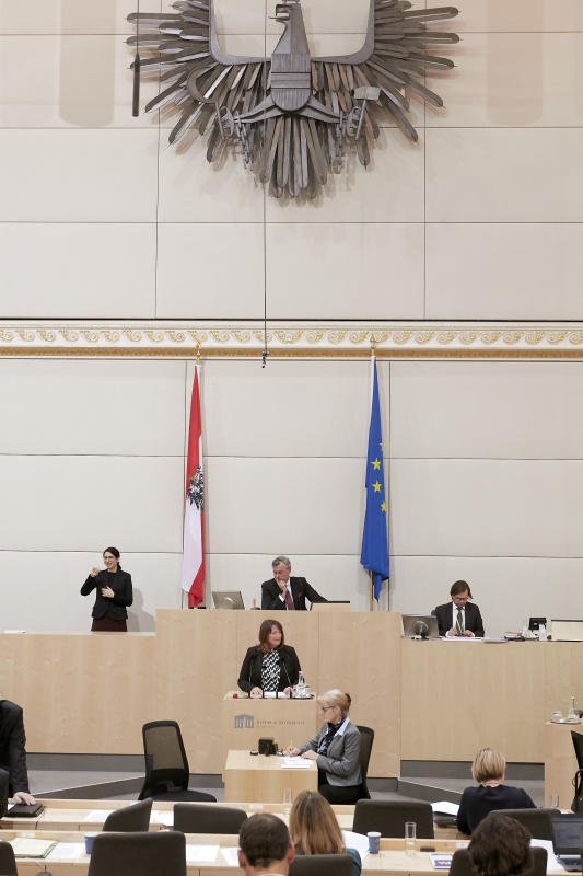 Am Rednerpult Nationalratsabgeordnete Petra Wimmer (S)