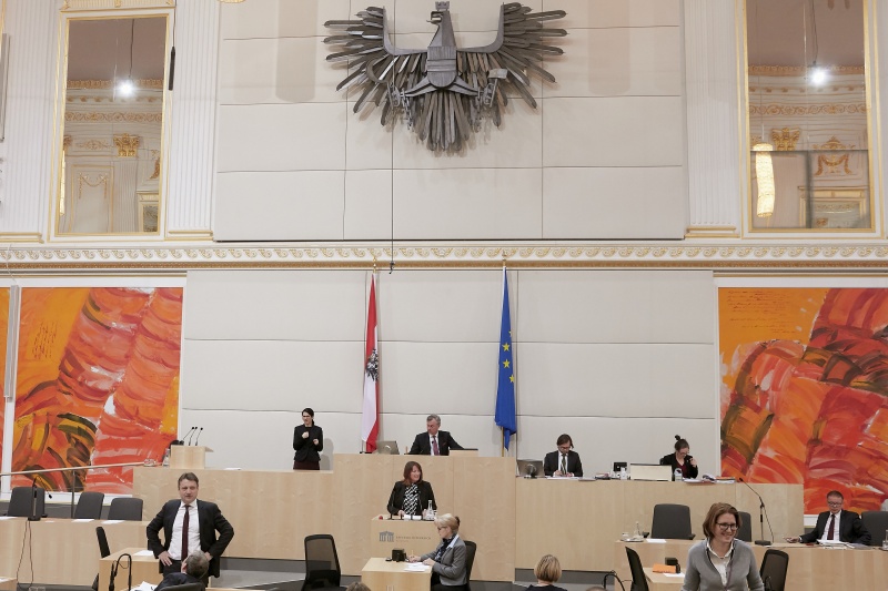 Am Rednerpult Nationalratsabgeordnete Petra Wimmer (S)