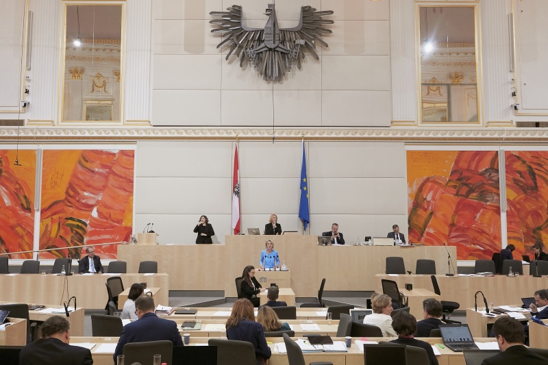 Am Rednerpult Nationalratsabgeordnete Romana Deckenbacher (V)