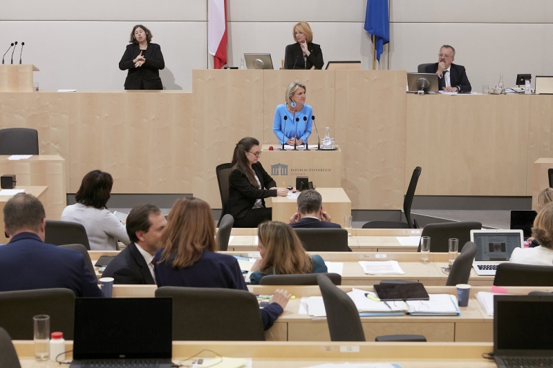 Am Rednerpult Nationalratsabgeordnete Romana Deckenbacher (V)