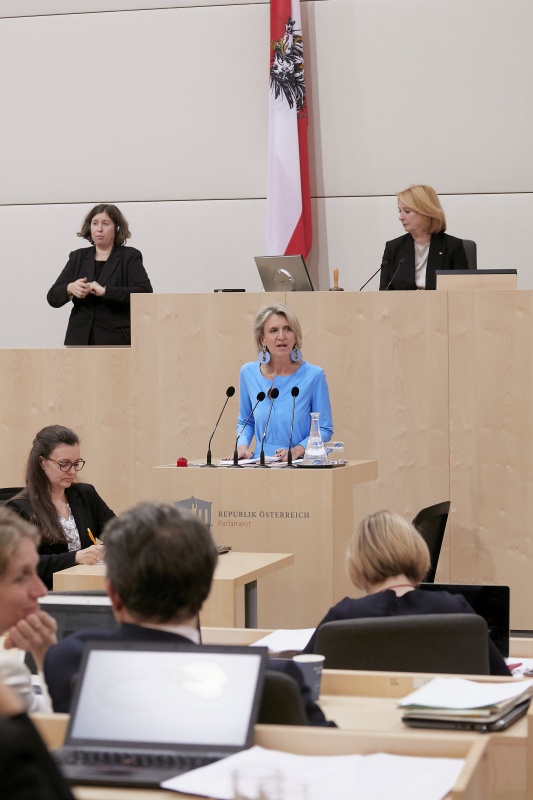 Am Rednerpult Nationalratsabgeordnete Romana Deckenbacher (V)