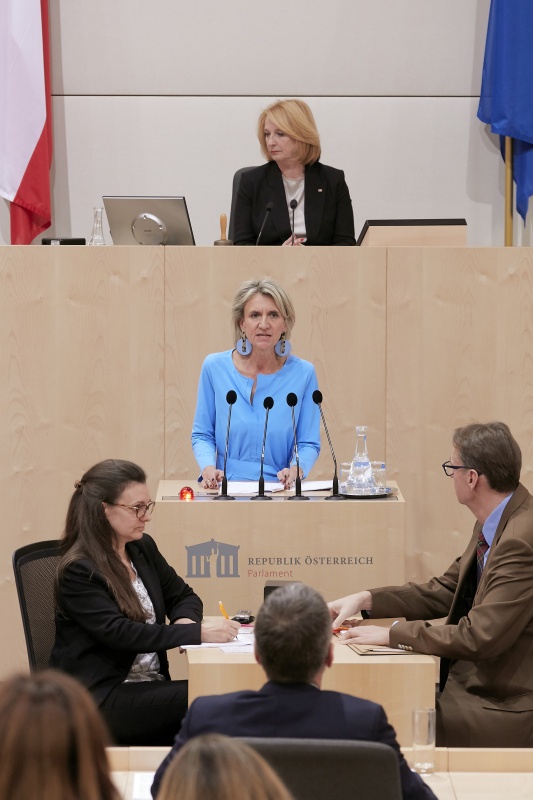 Am Rednerpult Nationalratsabgeordnete Romana Deckenbacher (V)