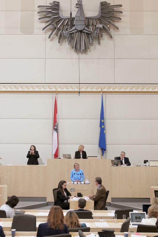 Am Rednerpult Nationalratsabgeordnete Romana Deckenbacher (V)