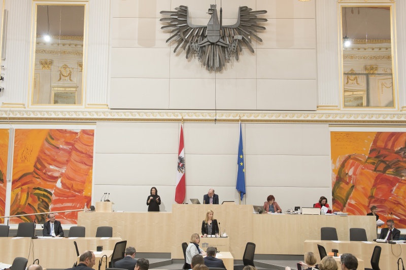 Am Rednerpult: Nationalratsabgeordnete Agnes Sirkka Prammer (G)