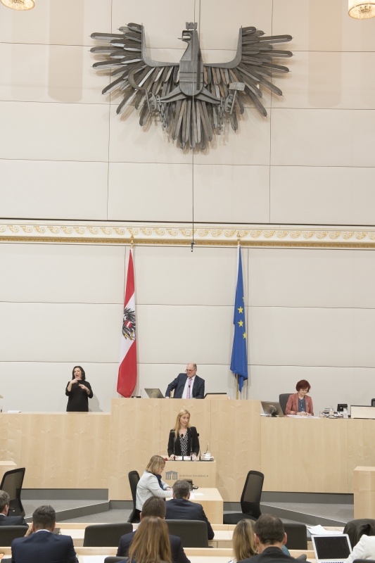 Am Rednerpult: Nationalratsabgeordnete Agnes Sirkka Prammer (G)