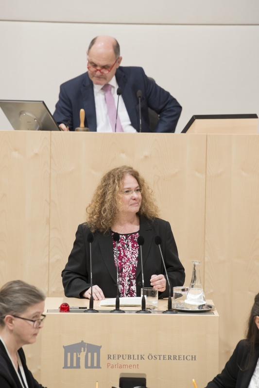 Am Rednerpult: Europaabgeordnete Monika Vana (G)