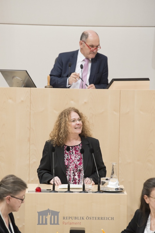 Am Rednerpult: Europaabgeordnete Monika Vana (G)