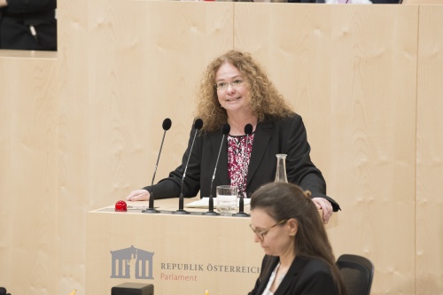 Am Rednerpult: Europaabgeordnete Monika Vana (G)