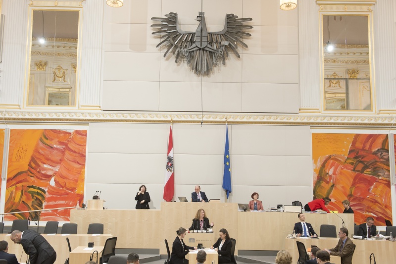 Am Rednerpult: Europaabgeordnete Monika Vana (G)