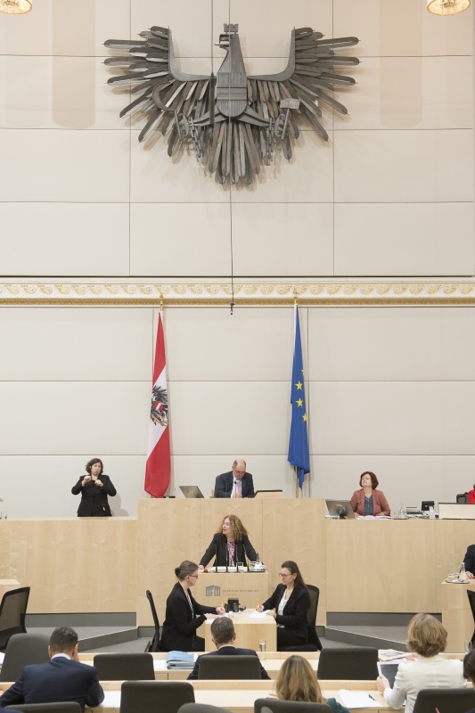 Am Rednerpult: Europaabgeordnete Monika Vana (G)