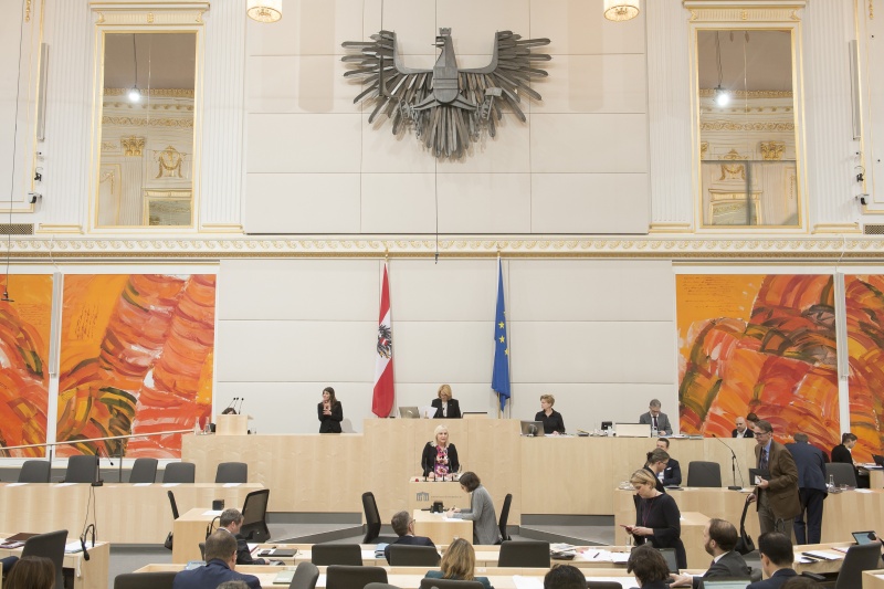 Am Rednerpult: MEP Angelika Winzig (V)