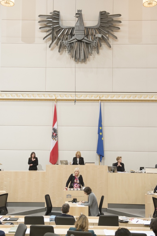 Am Rednerpult: MEP Angelika Winzig (V)