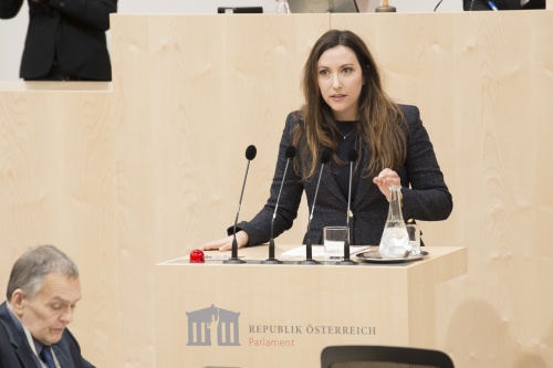 Am Rednerpult: Nationalratsabgeordnete Petra Steger (F)
