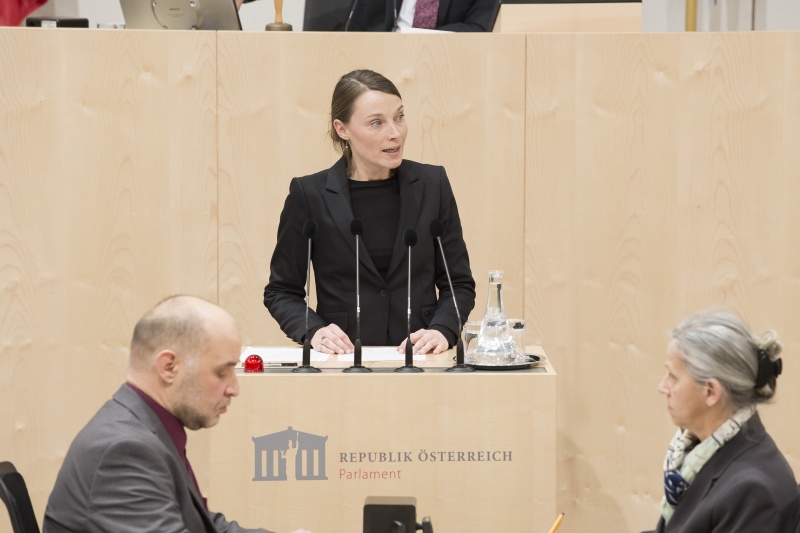 Am Rednerpult: Nationalratsabgeordnete Heike Grebien (G)