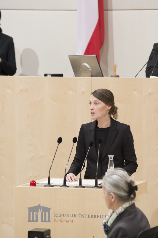 Am Rednerpult: Nationalratsabgeordnete Heike Grebien (G)