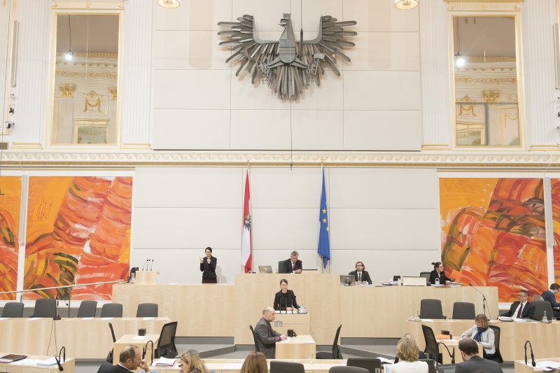 Am Rednerpult: Nationalratsabgeordnete Heike Grebien (G)