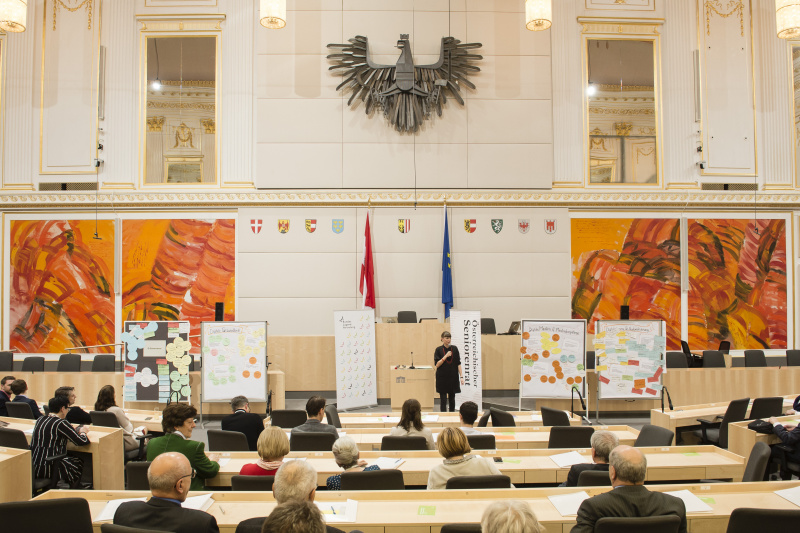 Moderatorin Elisabeth Hanzl