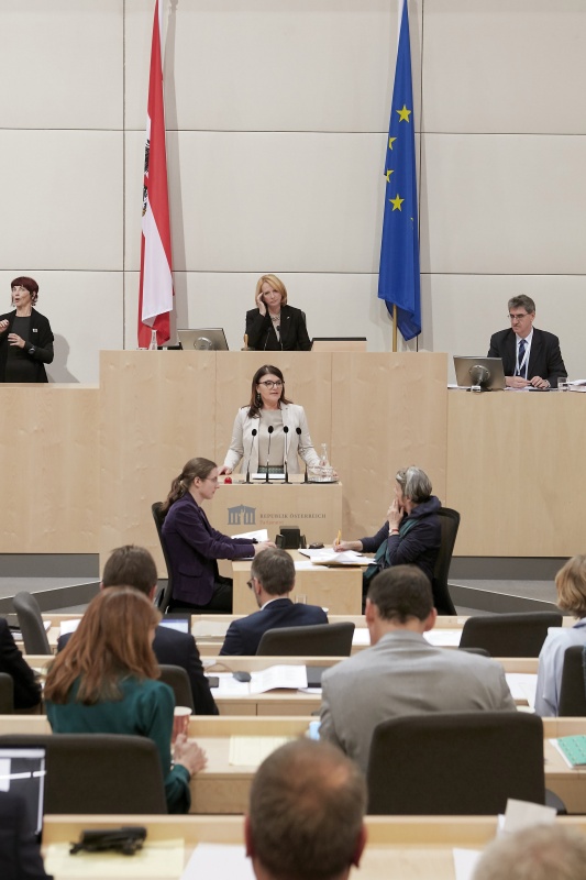 Am Rednerpult Nationalratsabgeordnete Alexandra Tanda (V)