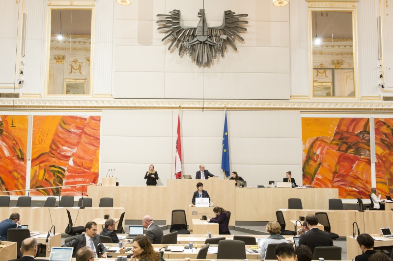 Am Rednerpult: Nationalratsabgeordnete Rosa Ecker (F). Am Präsidium: Nationalratspräsident Wolfgang Sobotka (V)