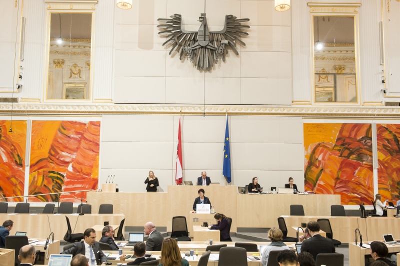 Am Rednerpult: Nationalratsabgeordnete Rosa Ecker (F). Am Präsidium: Nationalratspräsident Wolfgang Sobotka (V)