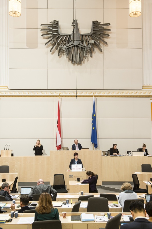 Am Rednerpult: Nationalratsabgeordnete Rosa Ecker (F). Am Präsidium: Nationalratspräsident Wolfgang Sobotka (V)