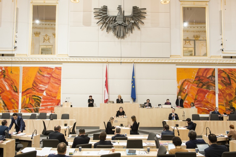 Nationalratsabgeordnete Eva Blimlinger (G)