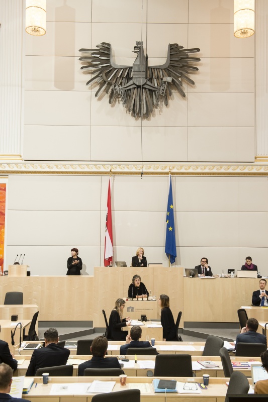 Nationalratsabgeordnete Eva Blimlinger (G)