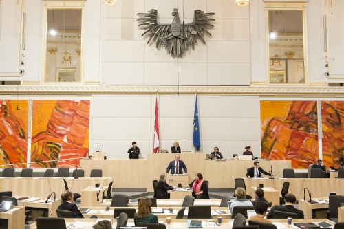 Am Rednerpult: Nationalratsabgeordneter Hubert Fuchs (F)