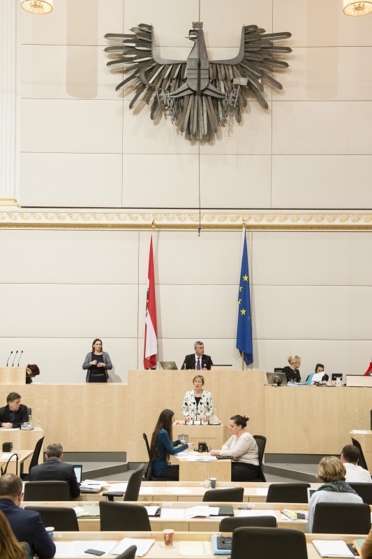 Am Rednerpult: Nationalratsabgeordnete Michaela Steinacker (V). Am Präsidium: Dritter Nationalratspräsident Norbert Hofer (F)