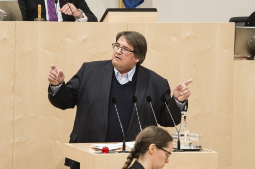 Am Rednerpult: Nationalratsabgeordneter Josef Muchitsch (S)
