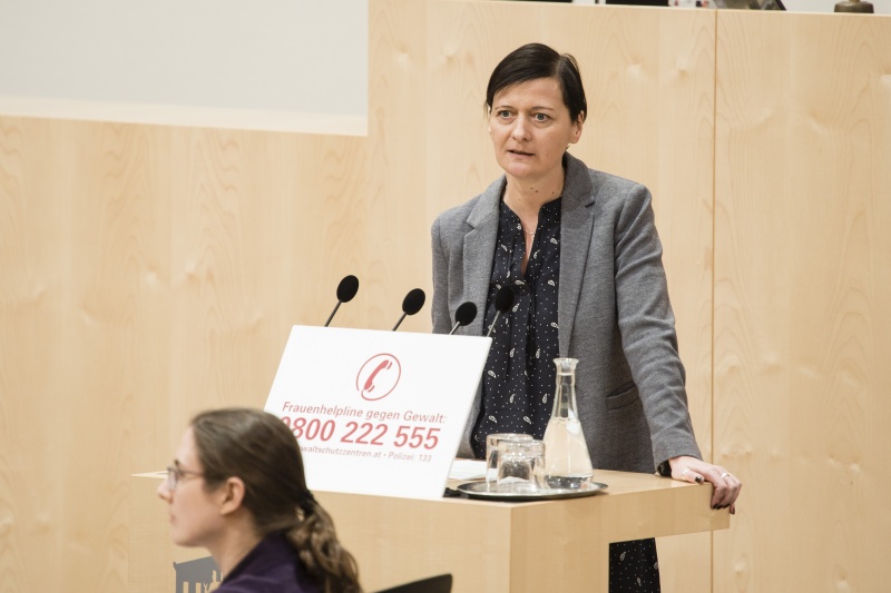 Am Rednerpult: Nationalratsabgeordnete Sabine Schatz (S)