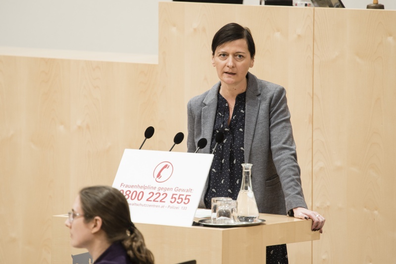 Am Rednerpult: Nationalratsabgeordnete Sabine Schatz (S)